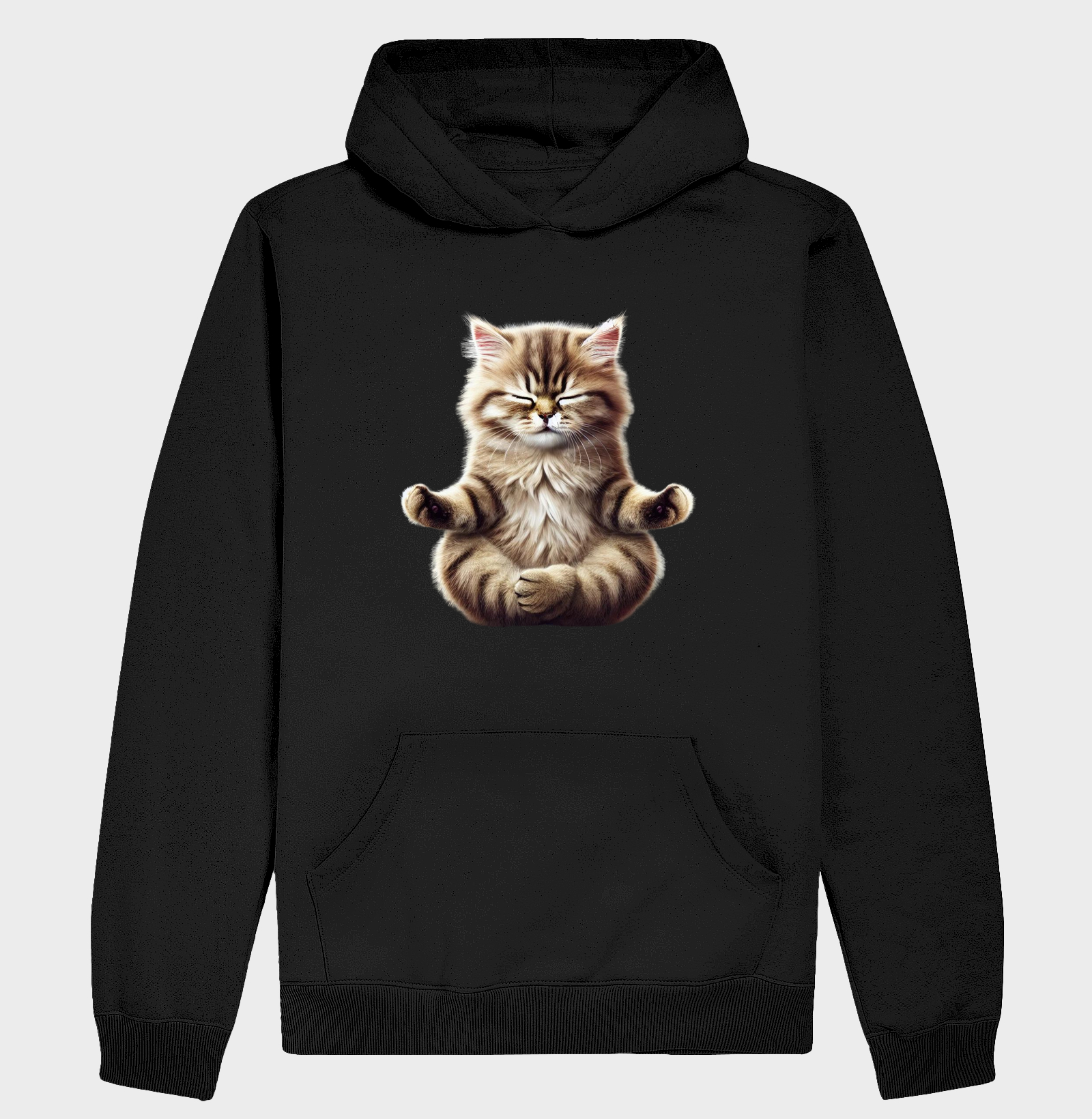Gato Meditando