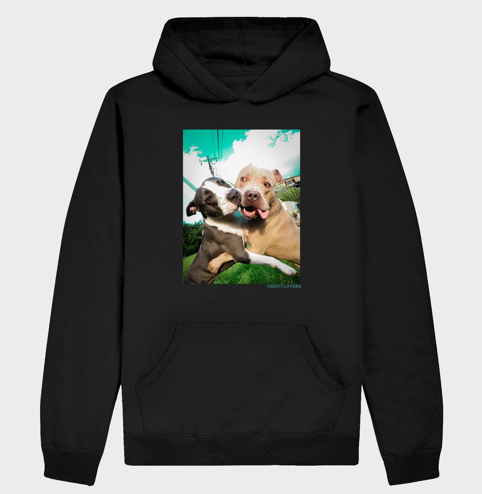 ABRAÇO DE PIT BULL