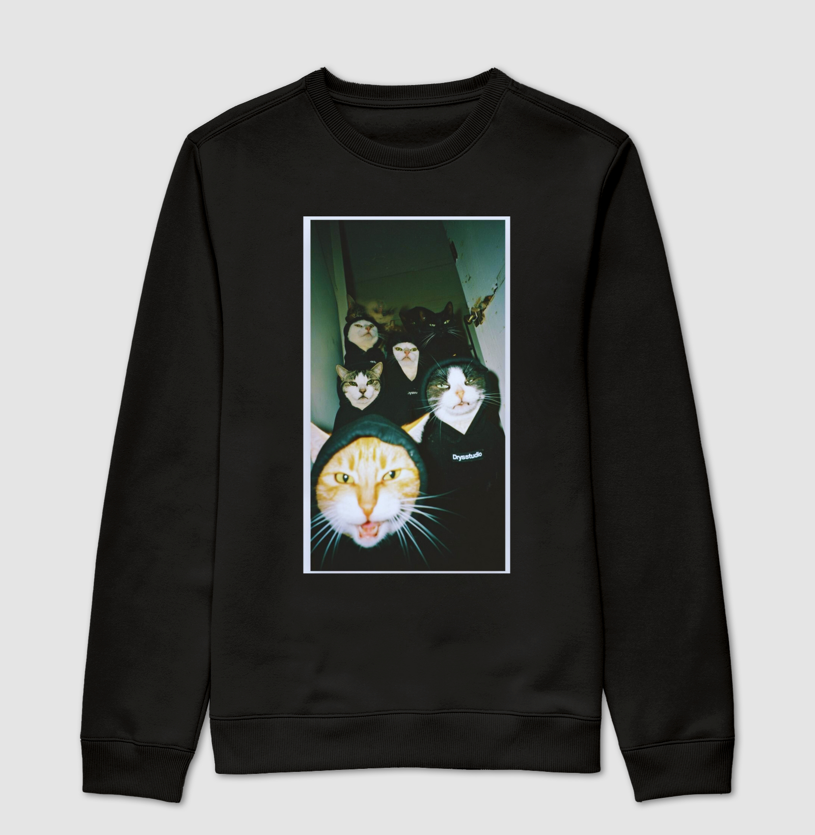 cat gang