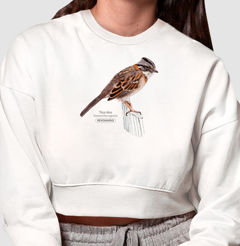 Aves do Brasil - Tico-tico - Moletom Cropped