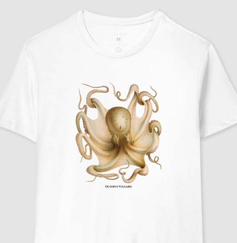  Octopus Vulgaris (1851)