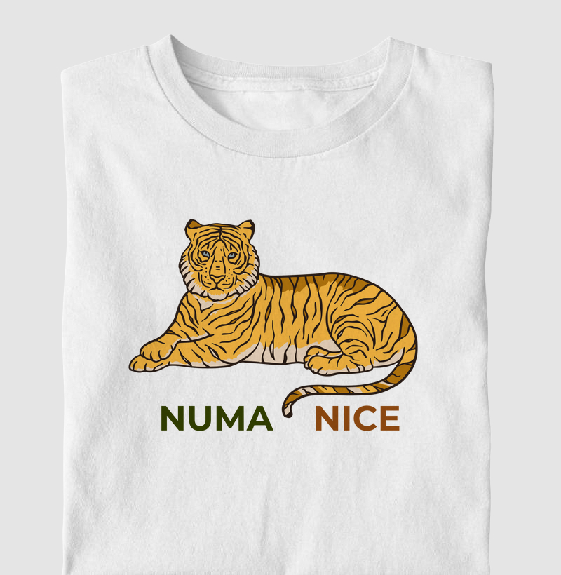 Numa Nice 