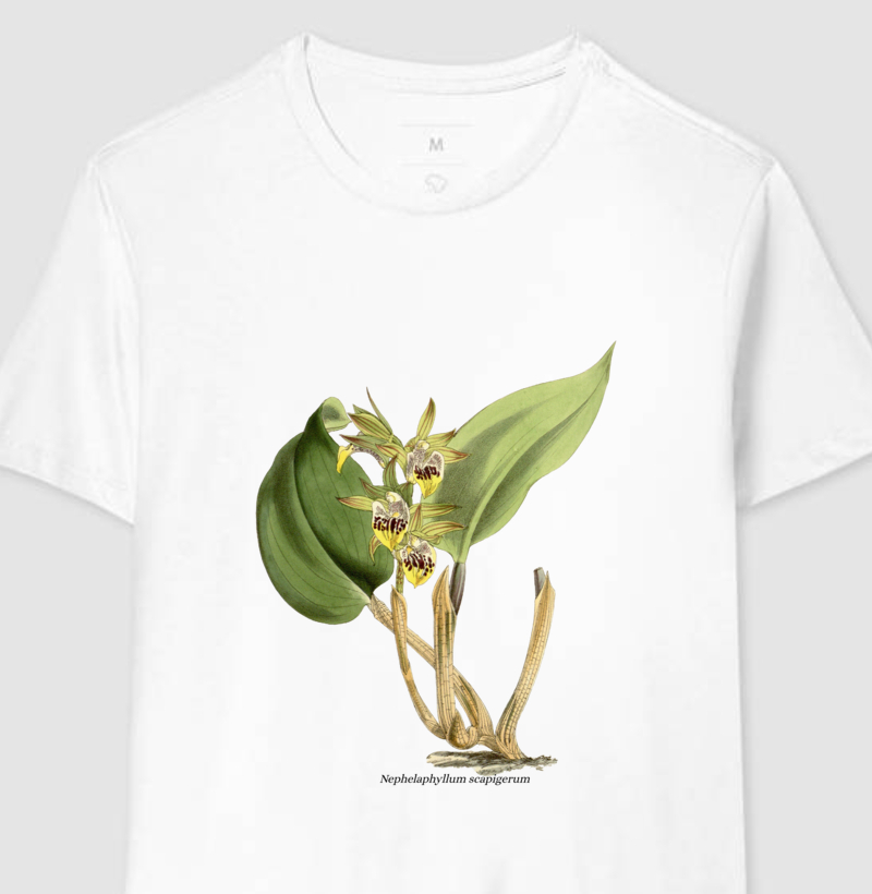 Camiseta Nephelaphyllum scapigerum t-shirt