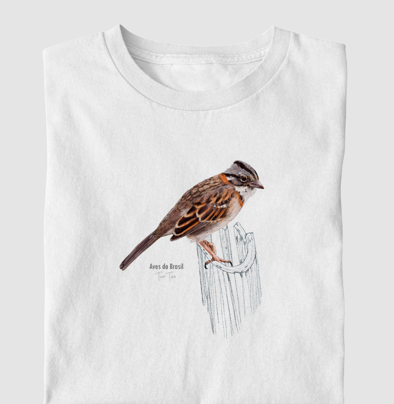 Aves do Brasil - Tico-Tico - Infantil