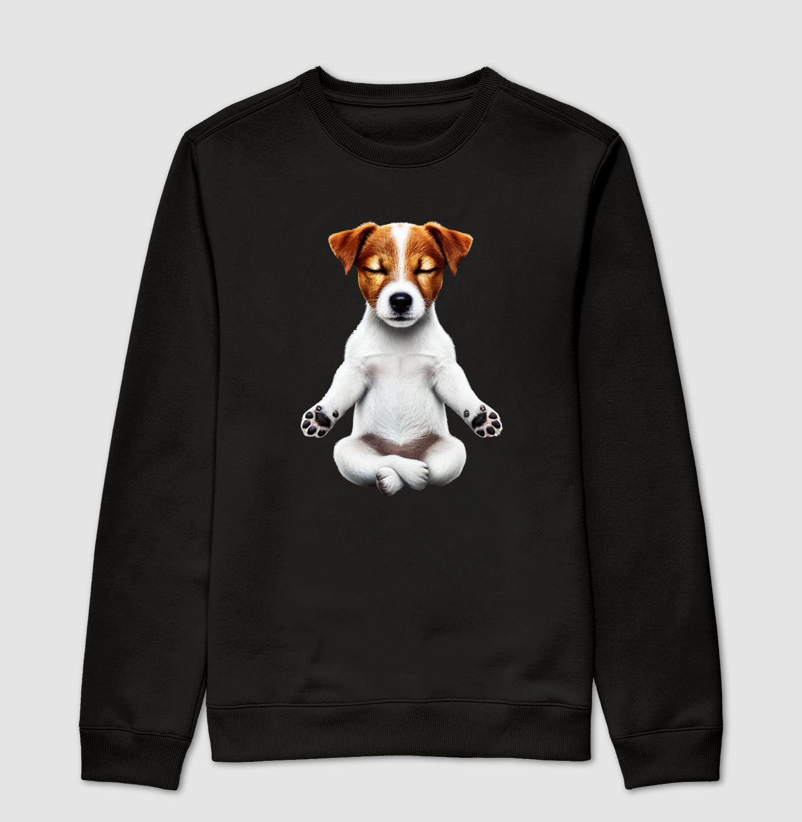 Jack Russell Meditando