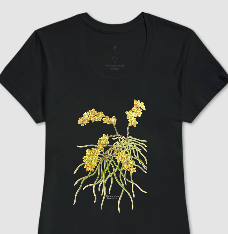 Camiseta Feminina Chiloschista himalaica
