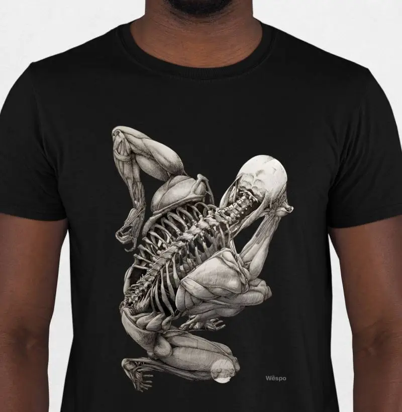 Corpo Anatomia 