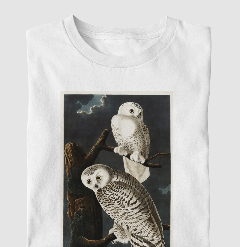 Snowy Owl