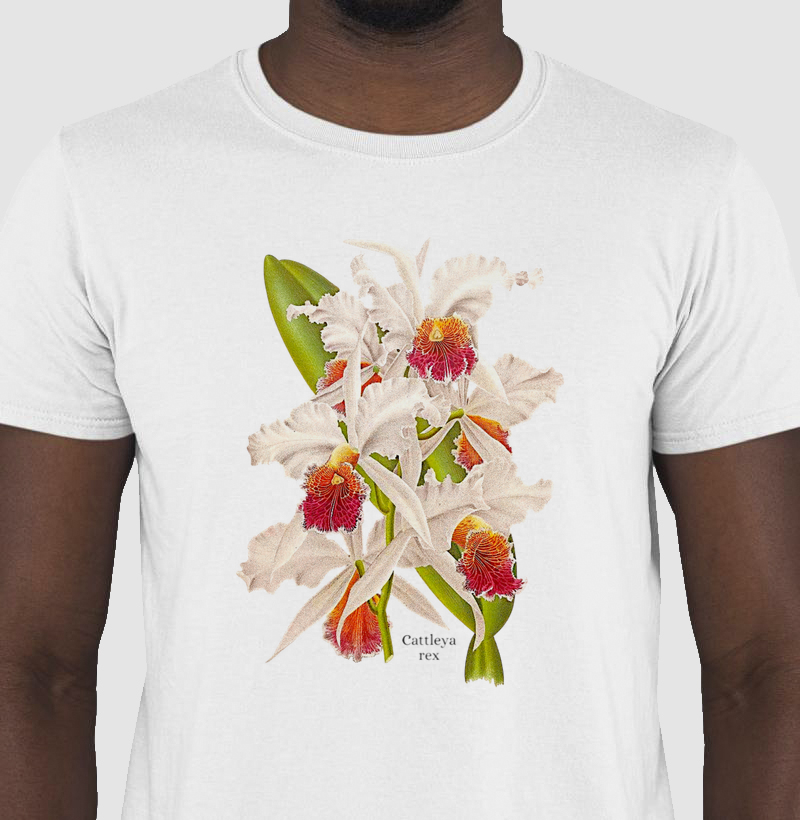 Camiseta Tshirt Cattleya rex