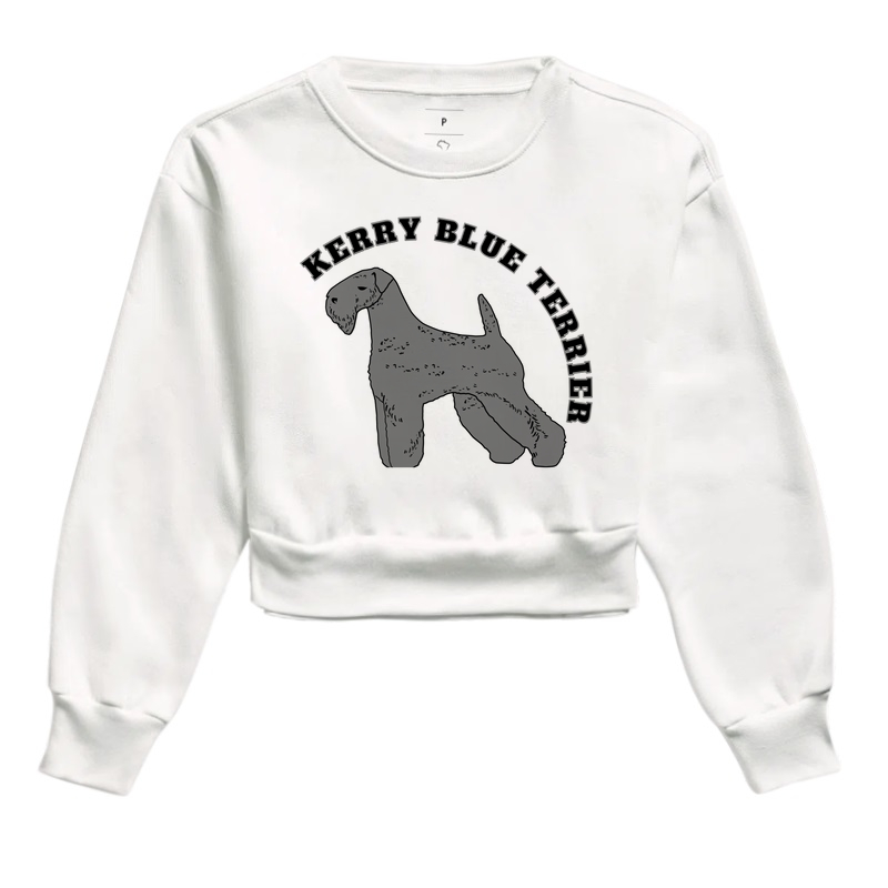 Kerry Blue Terrier