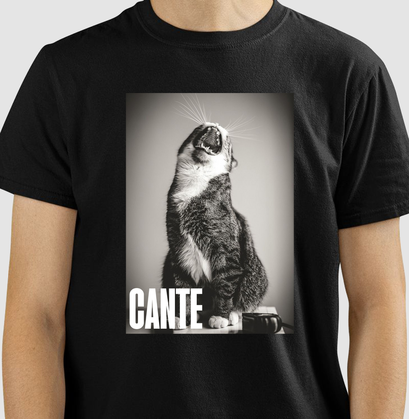 Cante