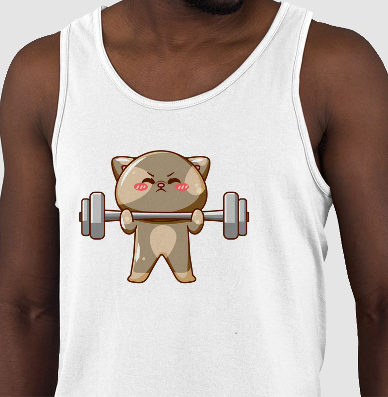 Gato Fortinho