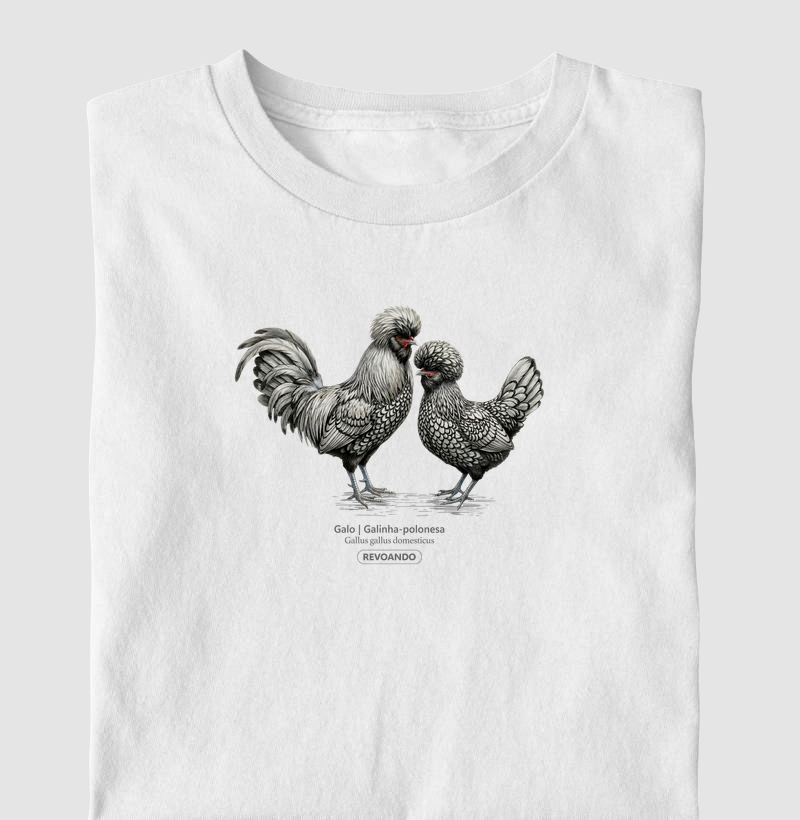 Traços Alados - Galo | Galinha-polonesa