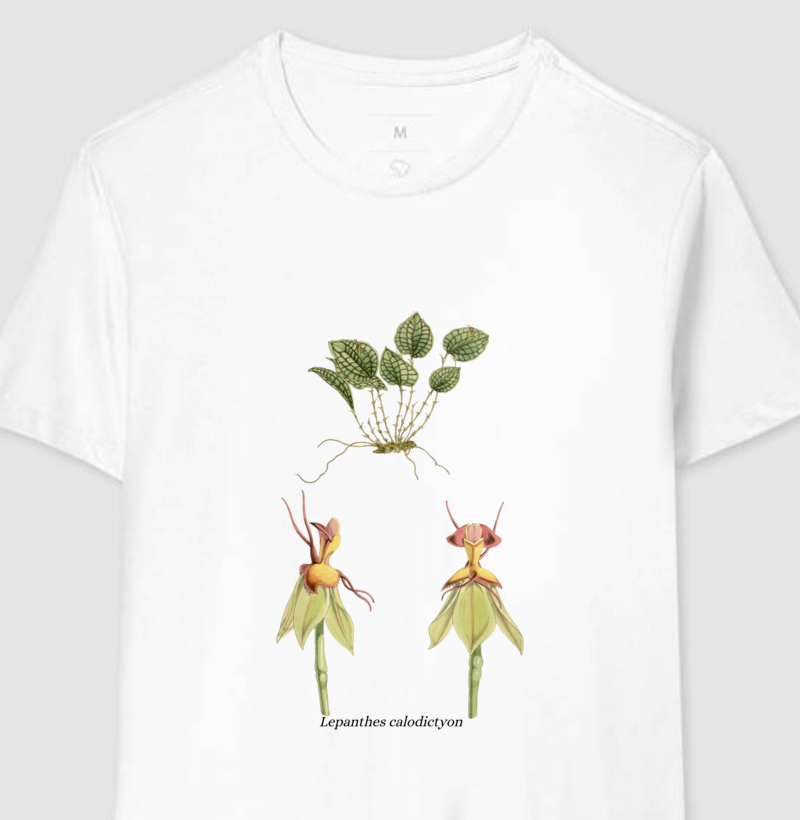 Camiseta Lepanthes calodictyon t-shirt