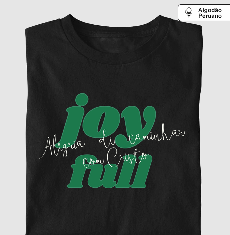 Alegria de Caminhar com Cristo