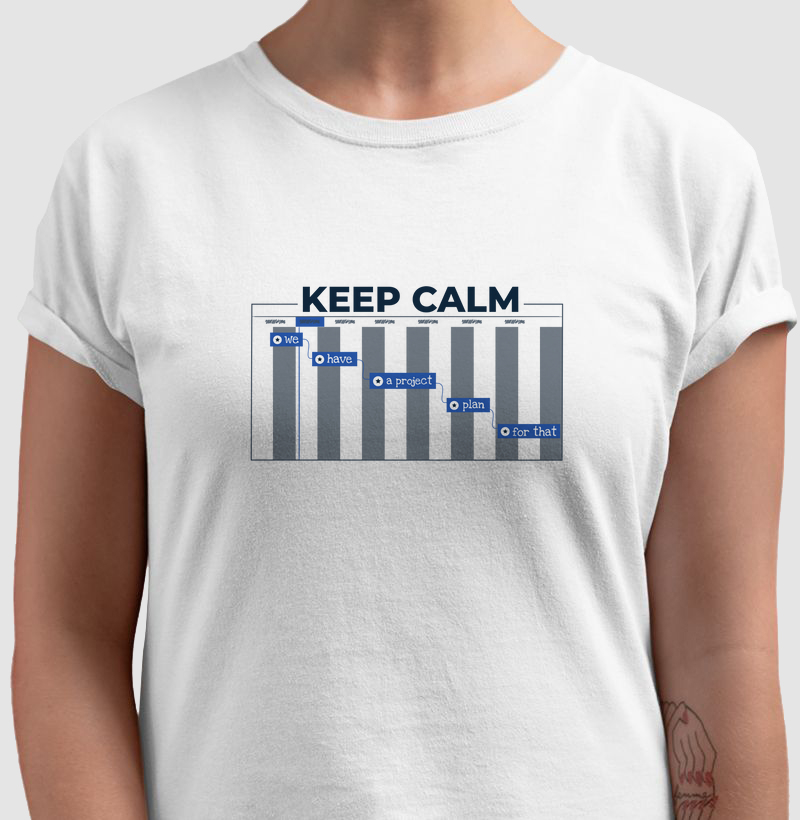 Keep Calm - We have a project plan - light 