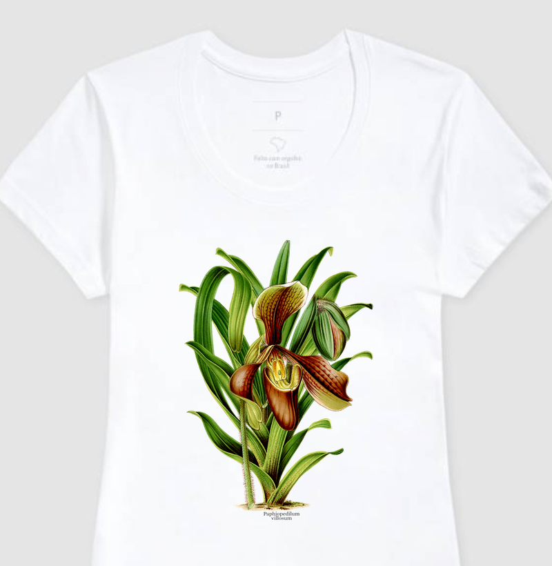 Camiseta Feminina Paphiopedilum villosum