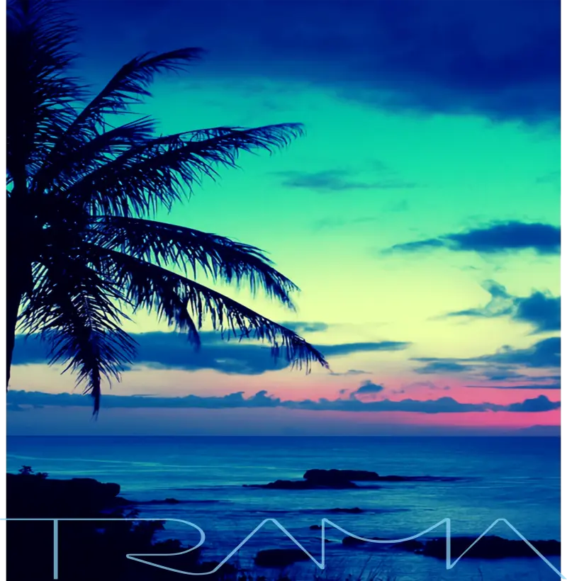 Camiseta Sunshine Beach