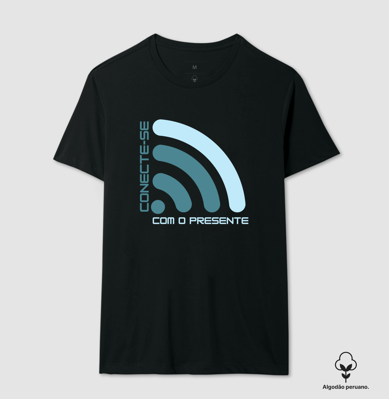 Conecte-se com o Presente