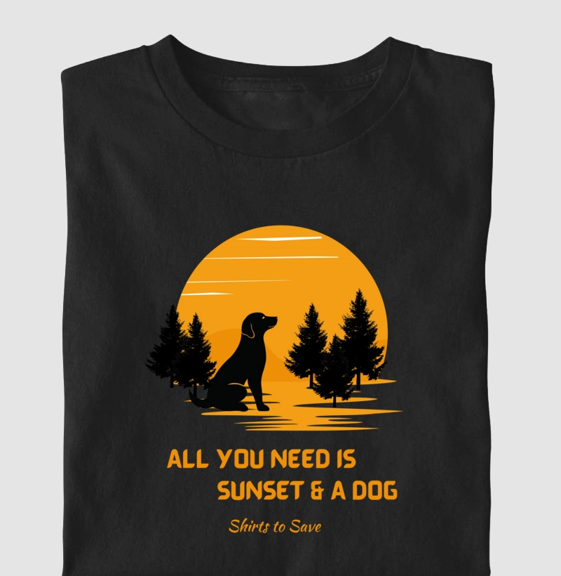 Camiseta All you need