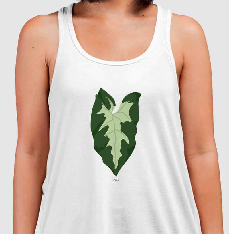 Folha de caladium verde