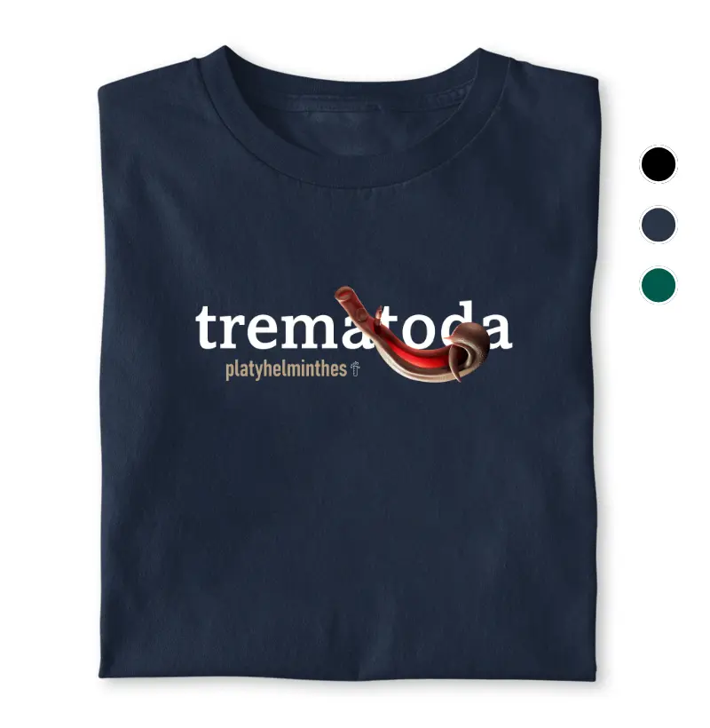 Trematoda
