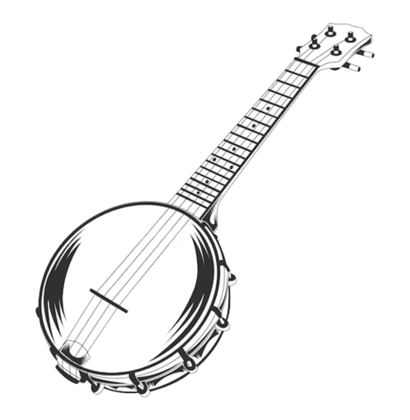 Camiseta Banjo 