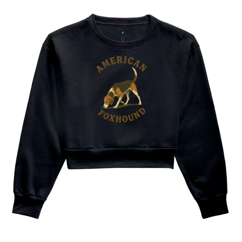 American Foxhound