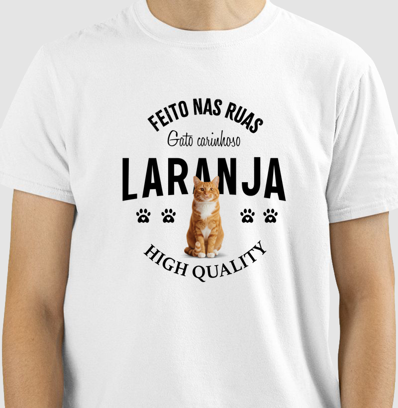 Um Gato Laranja para chamar de seu