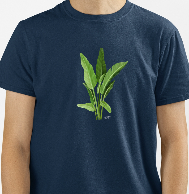 Bananeira 01