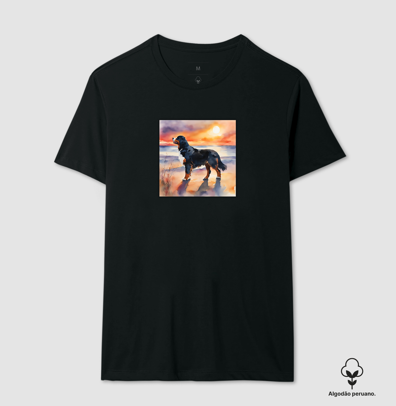 Bernese 2