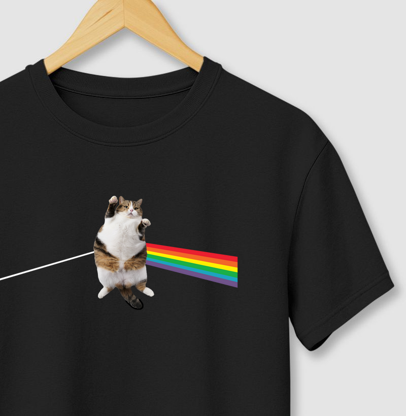 Fat Rainbow Cat