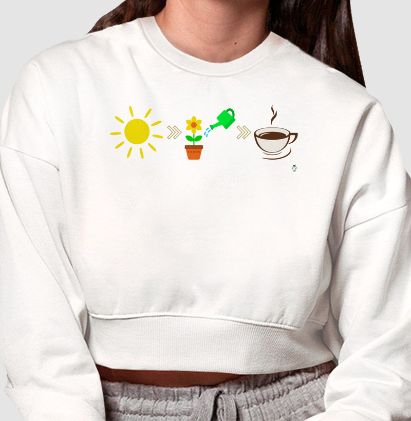 Sol - Rega - Café