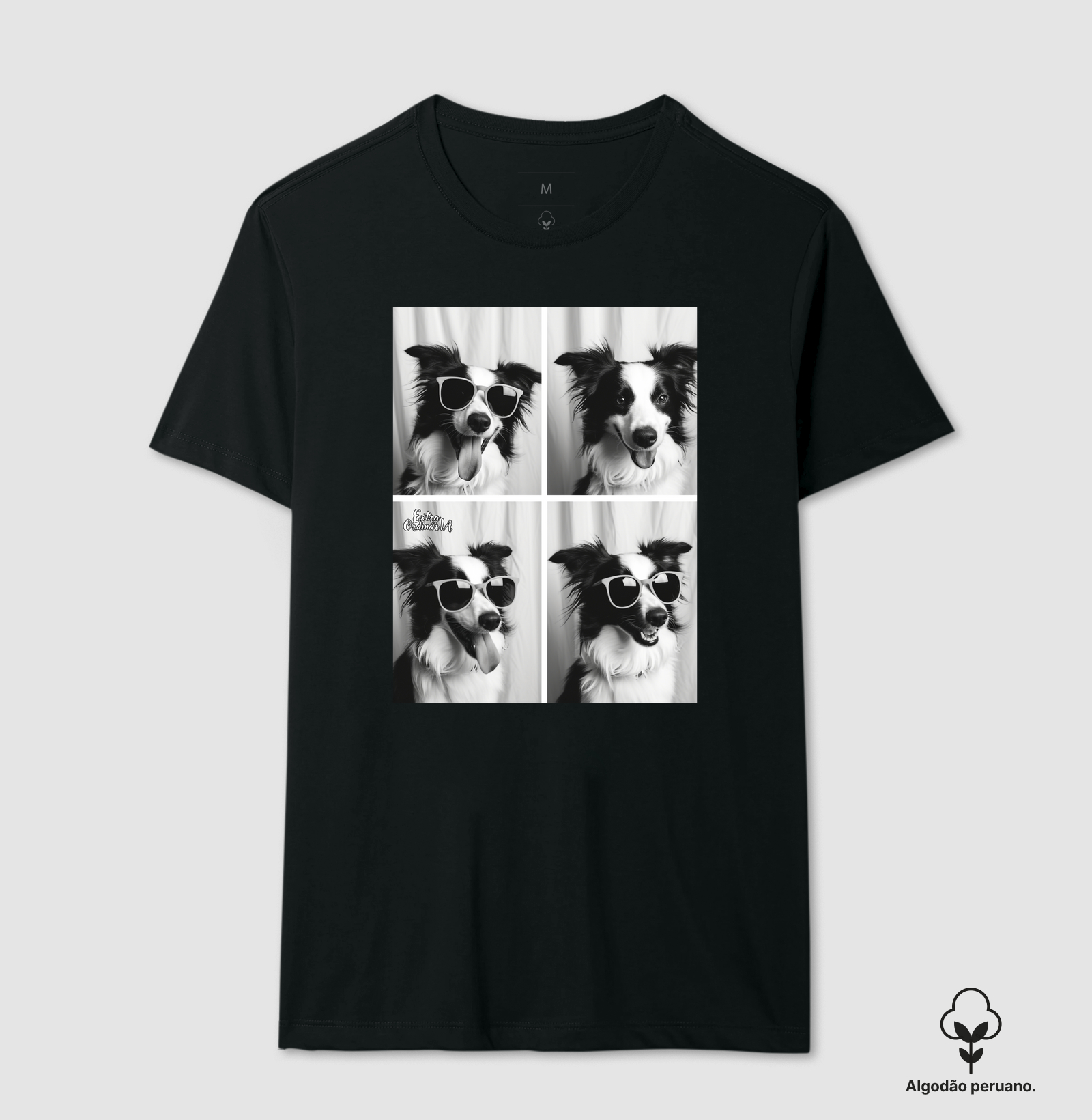 Border Collie Ensaio Fotográfico 