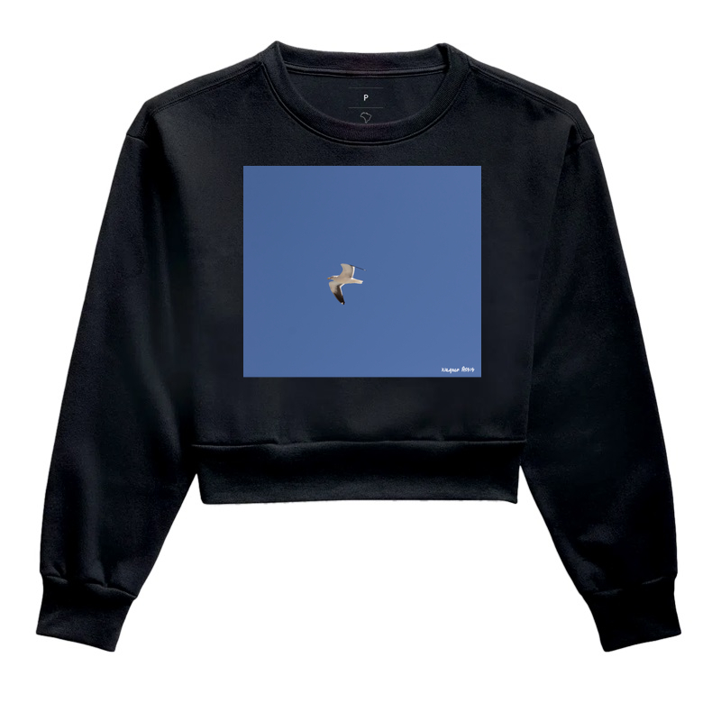 Camiseta Gaivotas #2