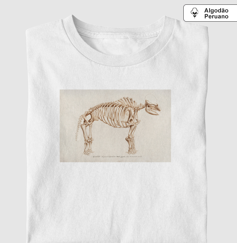 Squelette de grand mastodonte