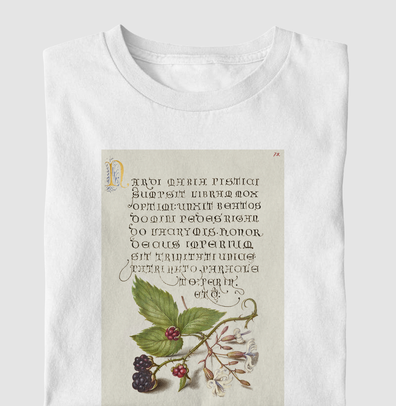 Blackberry and Nottingham Catchfly
