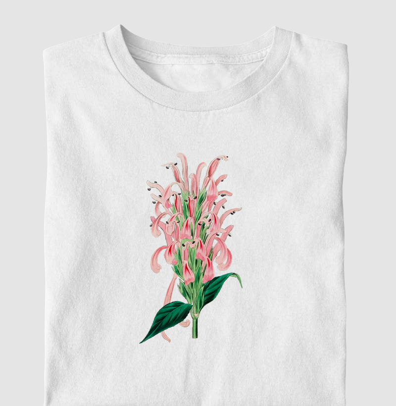 Justicia carnea