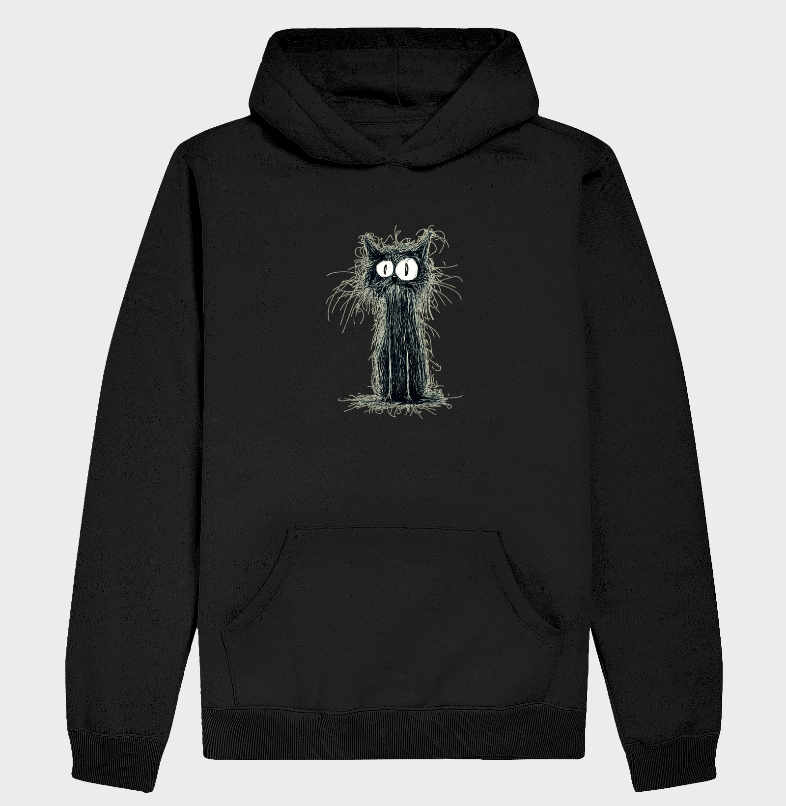 Black Stray Cat