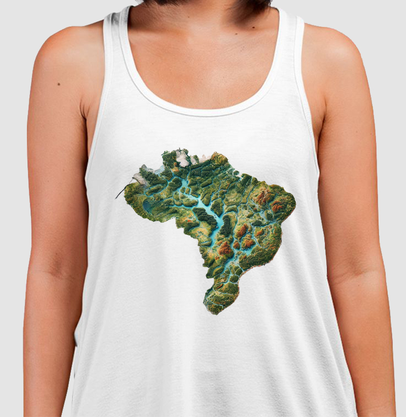 Aquífero brasileiro