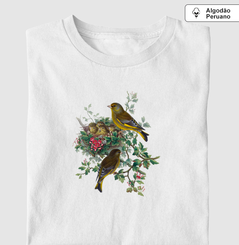 Greenfinch bird