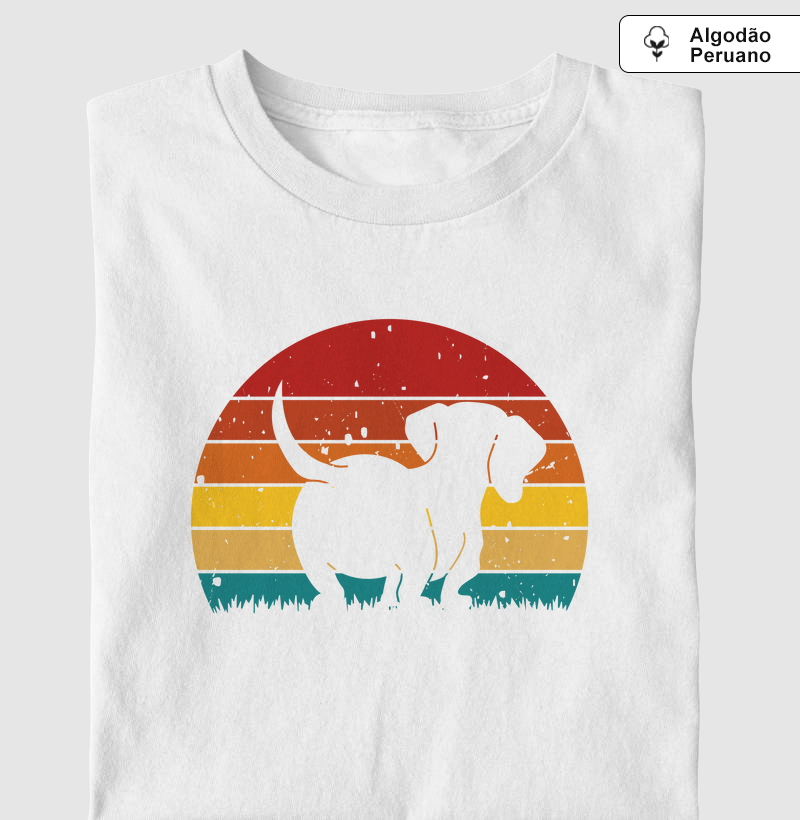 Cãozinho, pôr do sol (VET)
