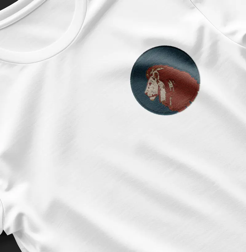 Blusa Leão de Judá