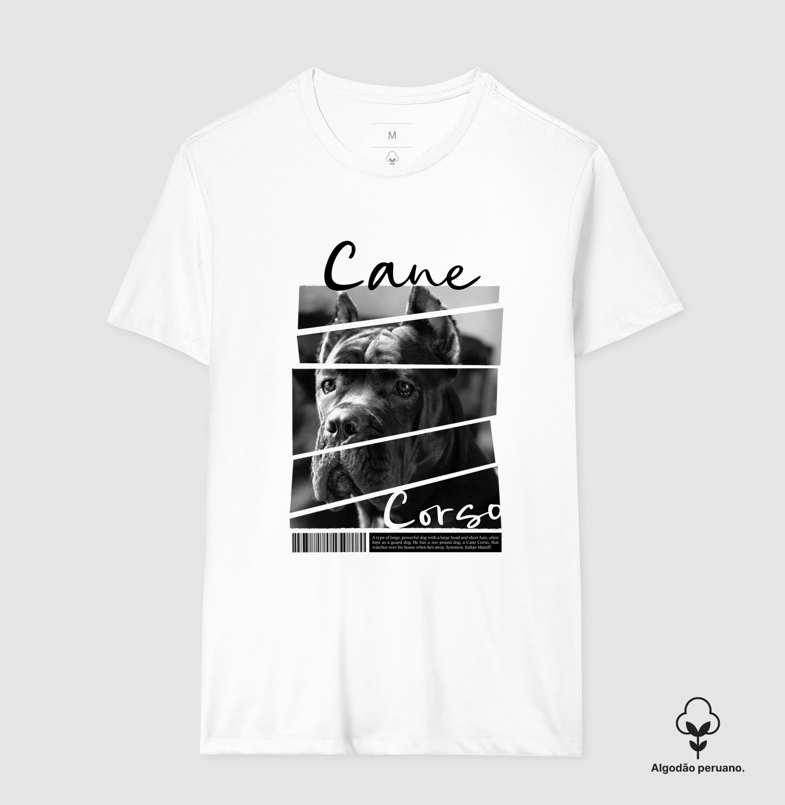 Cane Corso 