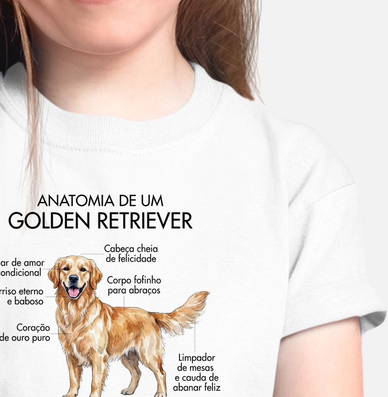Anatomia Golden Retriever