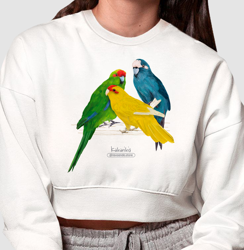 Love Friends - Kakarikis - Moletom Cropped