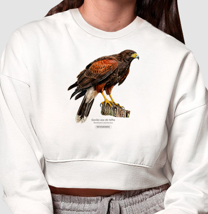 Traços Alados - Gavião-asa-de-telha - Moletom Cropped
