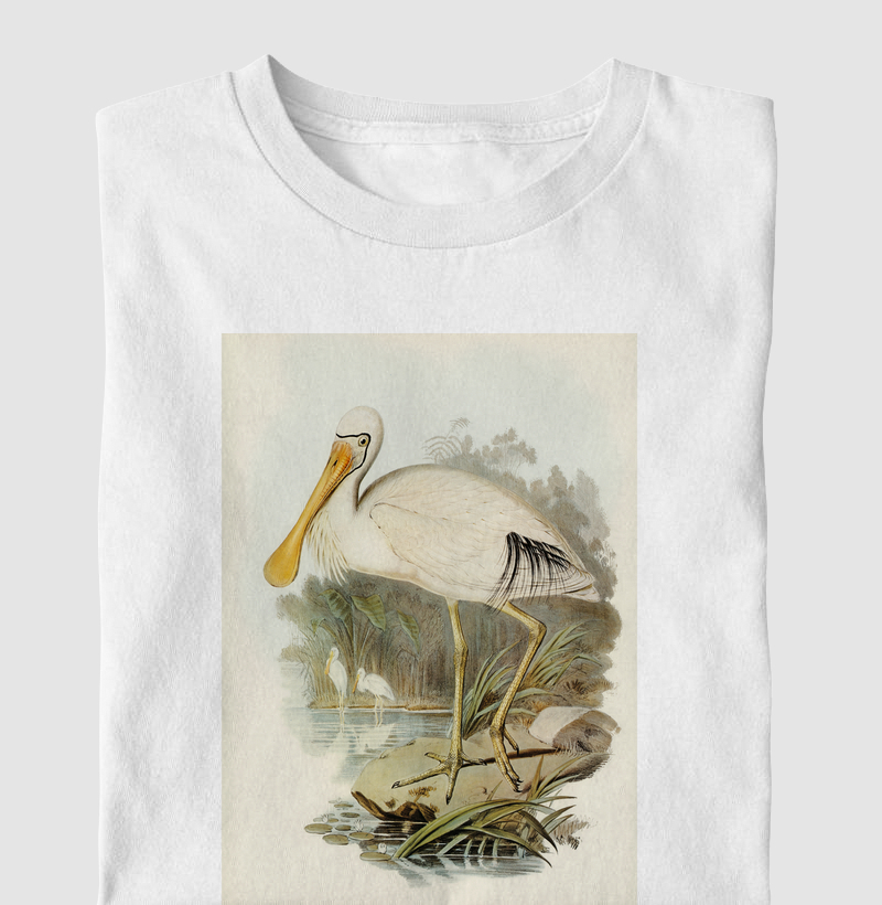 Yellow-legged Spoonbill