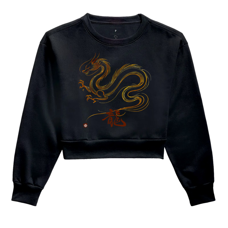 Camiseta Dragão