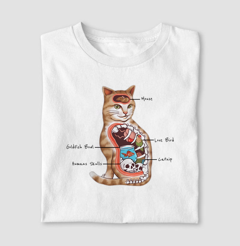 Cats Anatomy